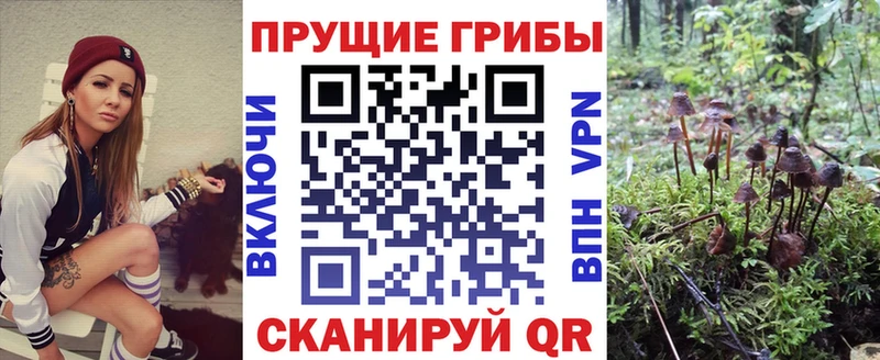 Галлюциногенные грибы MAGIC MUSHROOMS  купить наркотик  Болгар 