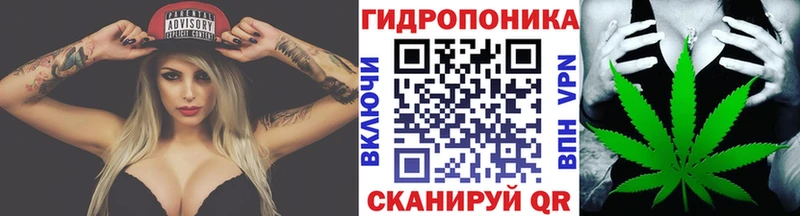 Шишки марихуана марихуана  сколько стоит  Болгар 